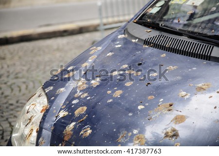 hood of car with lot of bird droppings, bad parking concept