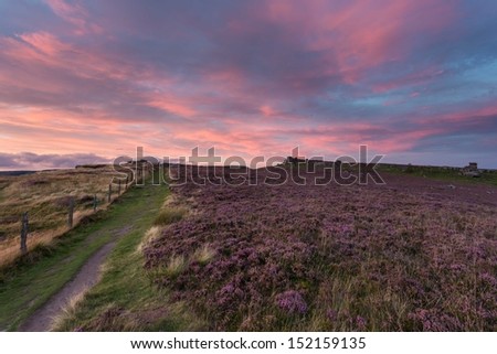 Over Owler Tor and Mothercap - carpet of fresh purple heather at sunset - from Millstone Edge in the Peak District near Hathersage