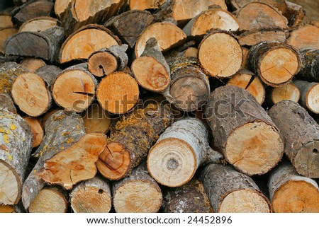 A stack of wood for heating purposes, in preparation for the winter
