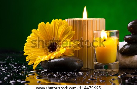 Spa still life with yellow flower, candles pebble and water drop on green background