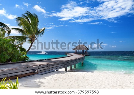 Tropical Maldives island with coconut palm tree, wooden bridge and water villa. Exotic landscape.