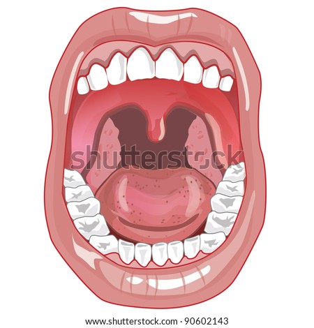 Mouth Teeth Tongue