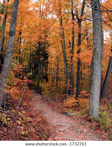 This is a beautiful walk in the park during fall.  Shot was taken in Gatineau, Quebec, Canada.