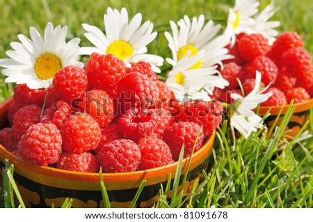 Fresh ripe raspberry with flowers of chamomiles on the green grass background