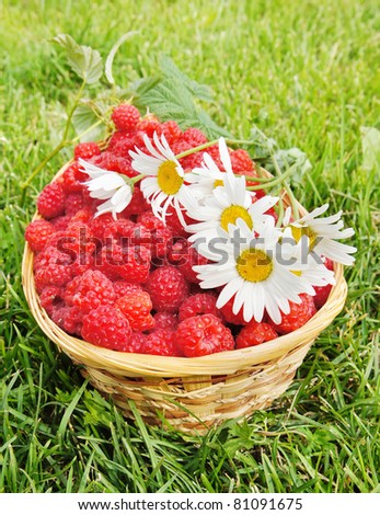 Fresh ripe raspberry with flowers of chamomiles on the green grass background