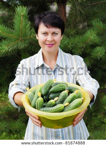 Woman-gardener with fresh cucumbers (focus on the cucumbers)