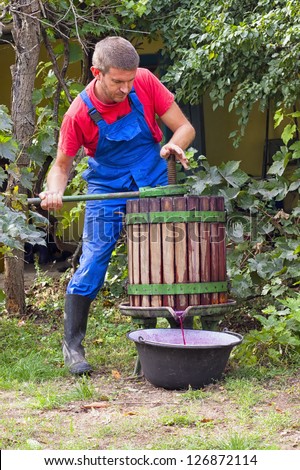 Male Farmer using a wine press to crush grapes to make wine
