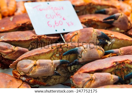 Fresh Crab at a Seafood market in St malo France