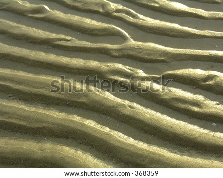 Sandy waves in the mud flats