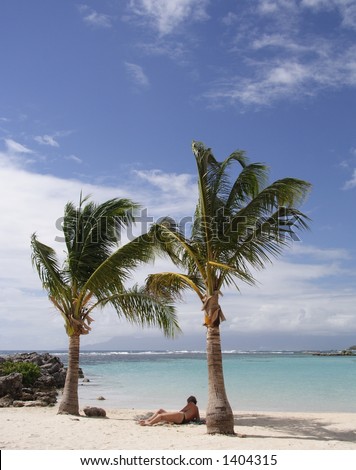A person lying between two palms at the beach