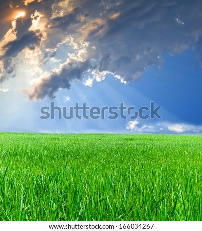 rays of the sun penetrate through clouds of blue sky  on the green grass