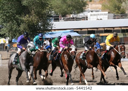 horse racing at the fair