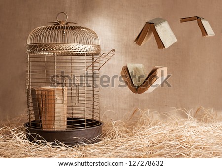freedom concept with bidrcage and books flying away on grunge background
