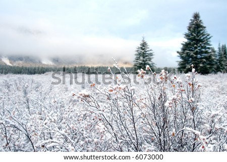 Snow covered landscapes in winter just in time for Christmas and holiday season