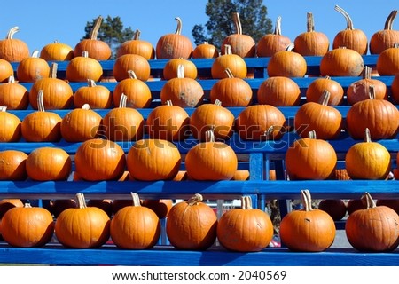 Pumpkin Board Meeting 2