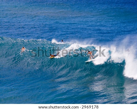 Surfers in Maui, Hawaii enjoying the waves.
