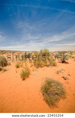 Desert in Arizona, Southwest US.