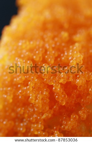 fish roe in japanese sushi, close up