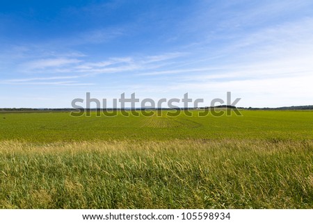 American Country Landscape