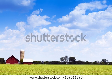 American Farm in hot summer day