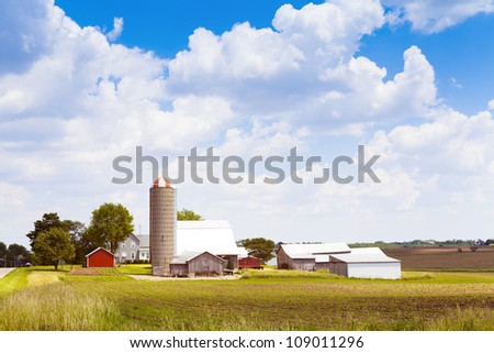 American Farm in hot summer day