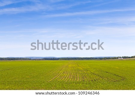 [Obrazek: stock-photo-countryside-landscape-with-b...246346.jpg]