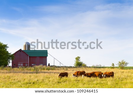 American Farm With Cows and Cloudy Sky