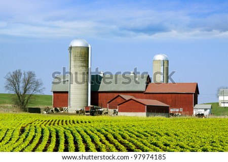 American Farm