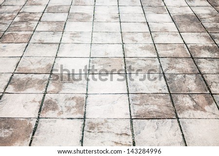 Wet foot path texture with stone plates