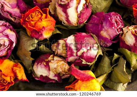 Bouquet of dried roses with dried green leaves.