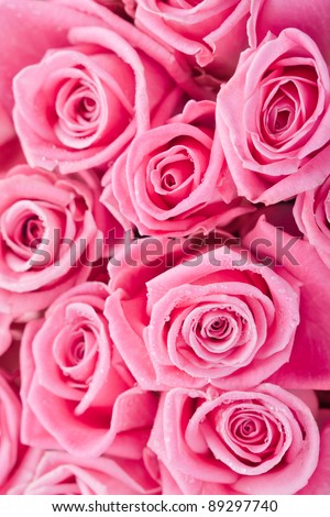stock photo Beautiful pink roses background bridal bouquet