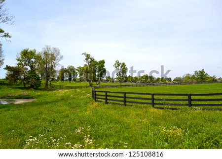 Horse Farm in Kentucky\'s Horse Country