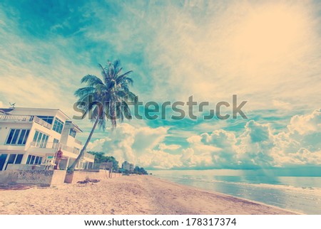 Filtered image : House on the beach with a coconut tree on the sunny day. High dynamic range and retro effect were applied.