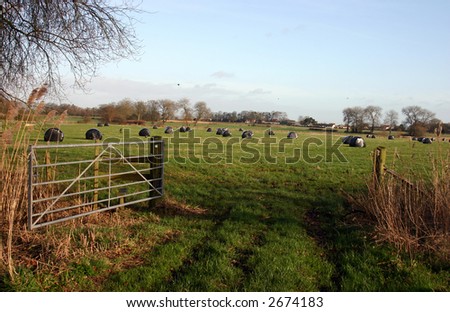 an Open gate in a field with hay bails