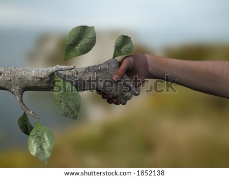 Harmony Of Nature