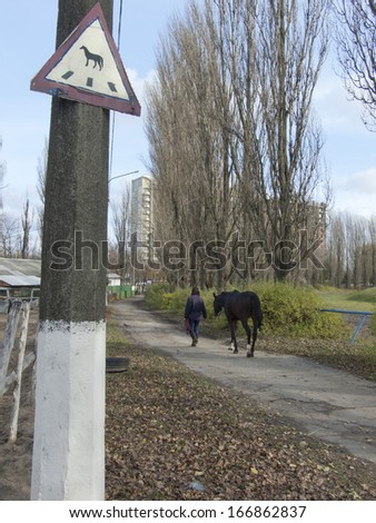 KIEV, UKRAINE Ã¢Â?Â? 11 NOVEMBER 2012: Unknown rider walks with a horse before horse races on November 11, 2012 in Kiev, Ukraine