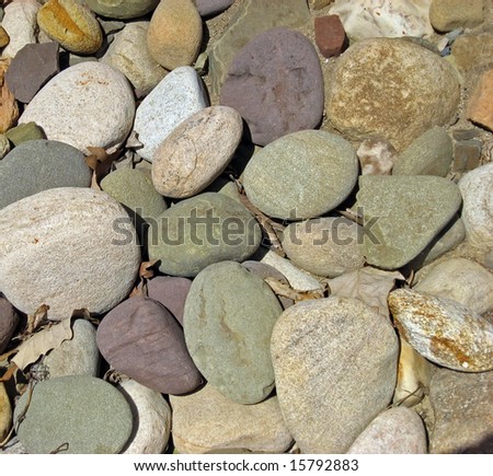 Multi-colored rocks and stones used in landscaping.