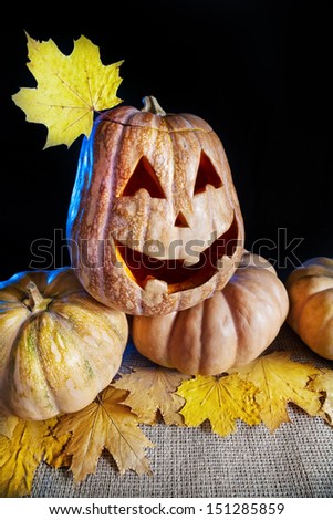 Halloween pumpkin with yellow maple leave at black background