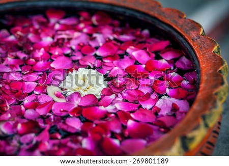 White flower with red rose petals in the bowl in SPA salon