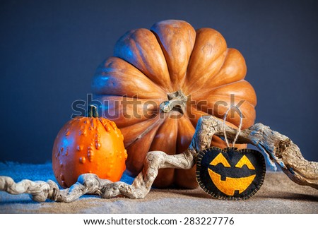 Carved pumpkin toy from felt and decorative pumpkins on the table at Halloween party