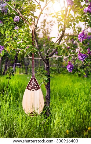 Dombra Kazakh instrument in the garden with blooming lilac flowers
