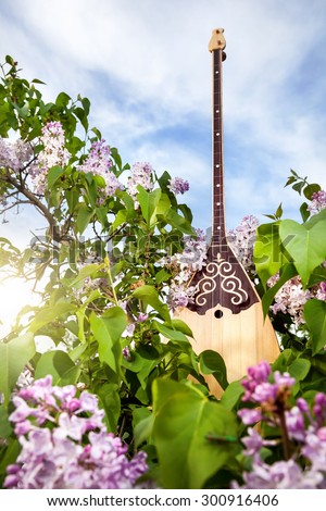Dombra Kazakh instrument in the garden with blooming lilac flowers at blue sky
