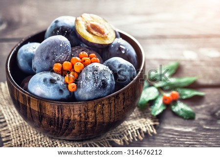 Plums and ash berries in wooden bowl on the table in autumn time