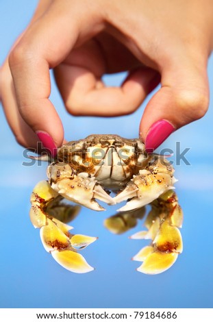 Big alive yellow crab held by womanÃ?Â¢Ã?Â?Ã?Â?s hand with pink nails at ocean blue background