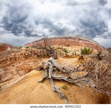 Beautiful scenery of Aktau mountains, dry tree and dramatic sky in national park Altyn Emel in Kazakhstan, Central Asia
