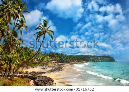 Beautiful view of Odayam beach near ocean and palm trees in Varkala, Kerala, India