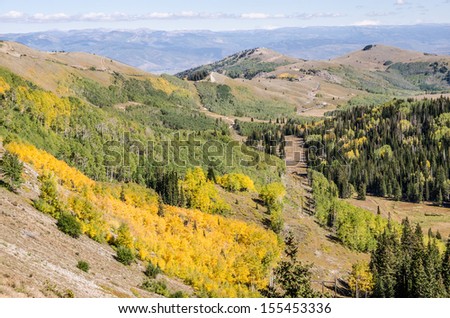View from the top of a pass overlooking beautiful aspen trees, evergreens, and more. Check out all the roads!