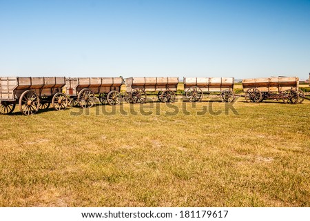 Restored, vintage grain wagons pulled into a circle to resemble covered wagons circled at night or when they feared attack at the Big Horn County Historical Museum in Hardin, Montana.