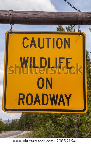 Caution wildlife on roadway sign in Yellowstone National Park to warn visitors of potential danger