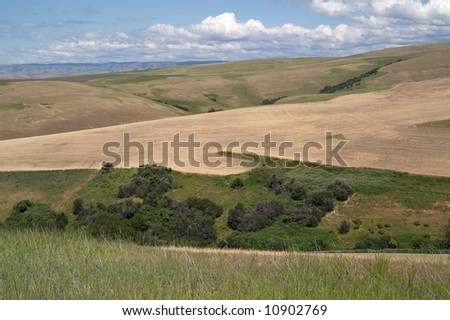 Plowed field and rural landscape as far as one can see